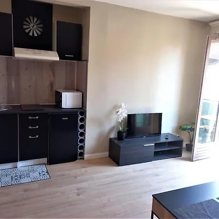 Joli En Centre Apartment Sete